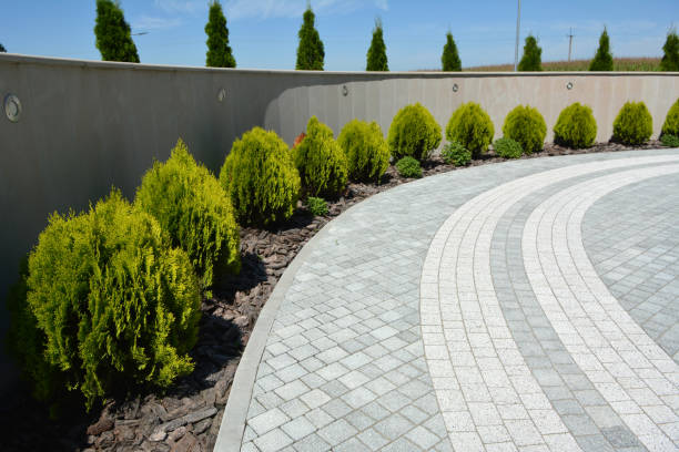 Best Affordable Driveway Paving  in Okeechobee, FL